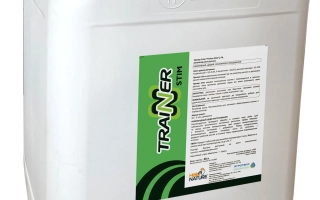 Тренер Стим