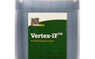 Vertex-IF for Corn