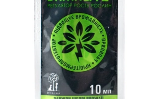 Вимпел Макси