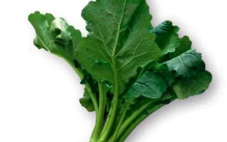 Ажи Салад Кабу