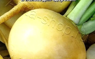 Голден Болл