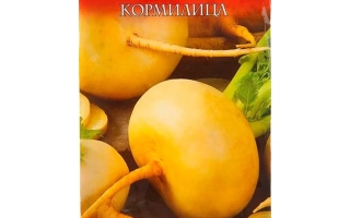 Кормилица