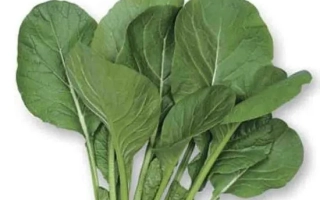 Салад Комацуна