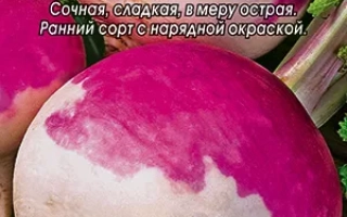 Внучка