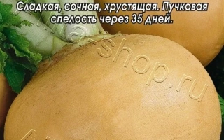 Жучка