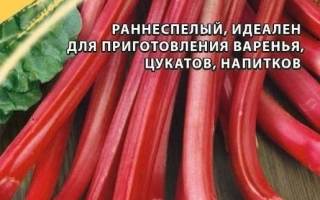Пакет семян ревня Дачный с изображением красных черешков