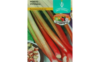 Пакет семян ревеня сорта Упрямец