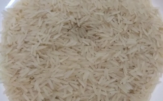 Rice on a white plate - DOLINNYY