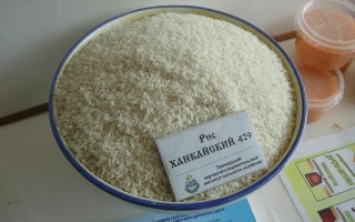 Rice HANKAISK 429 in a bowl with label