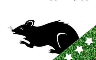 Упаковка Бактороденцид с изображением мыши и надписью 5 кг - Бактороденцид БТ