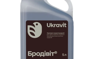Канистра с продуктом Бродивит объёмом 5 л