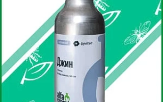 Металлическая бутылка с надписью «Джин» на зелёном фоне с изображением насекомых