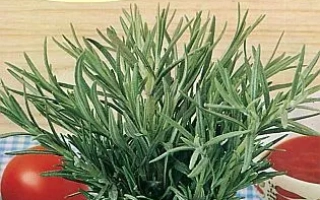 Пакет семян розмарина Вишняковский Семко с изображением растения и овощей