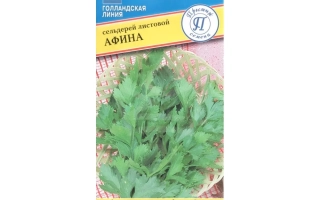 Пакет семян рукколы Афина с изображением зелени