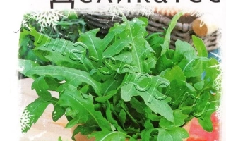 Пакет семян рукколы Деликатес