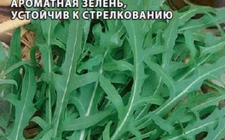 Пакет семян рукколы ГРАЦИЯ