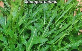 Пакет семян рукколы ОЛИВЕТТА