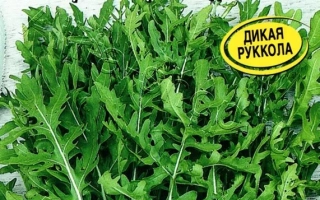 Пакет семян рукколы сорта РОКЕТ с изображением зелени и ягод