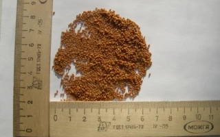 Крупный план рыжего порошка рядом с линейкой - Дебют