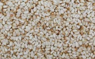 Крупный план семян сафлора - Алмаз