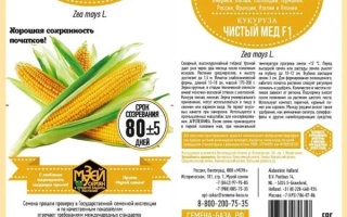 Пакет семян кукурузы Чистый Мед F1 с изображением початков и рекомендацией Музея семян - АММОНИЯ