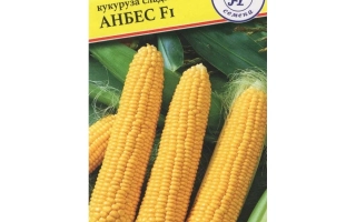 Пакет семян сахарной кукурузы АНБЕС F1
