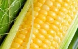 Желтая сахарная кукуруза в шелухе - Апетитная / Апетитна 5