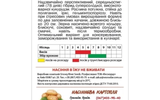 Австронавт