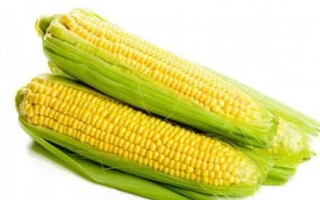 Два початка сахарной кукурузы на белом фоне - Барон