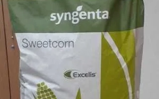 Мешок с семенами сахарной кукурузы Syngenta Sweetcorn - Чугайстр