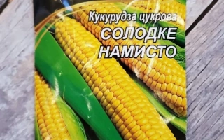 Пакет семян сахарной кукурузы Солодке Намисто - ДН Намисто