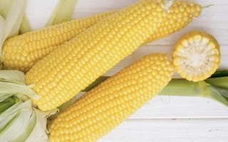 Желтая кукуруза на белой деревянной поверхности - Джульетта