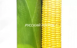 Эрли Райзер