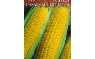 Пакет семян сахарной кукурузы КОУЧМЕН с изображением початков
