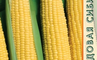 Пакет семян сахарной кукурузы Купидон