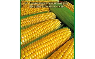 Пакет семян сахарной кукурузы МС ЭРИКА F1
