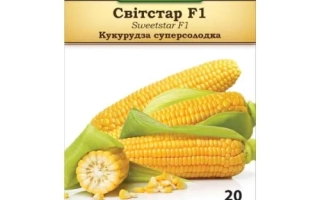 Мультисвит Старт