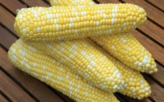 Свежая сахарная кукуруза на деревянной поверхности - РАКЕЛЬ