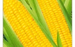 Саммер Свит