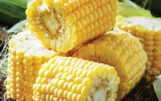 Желтая сахарная кукуруза СИНДОН на деревянной доске