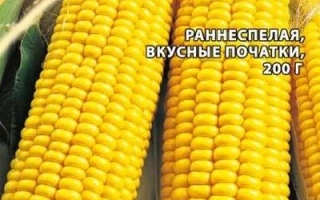 Пакет семян сахарной кукурузы СОВЛАЗН - СОБЛАЗН