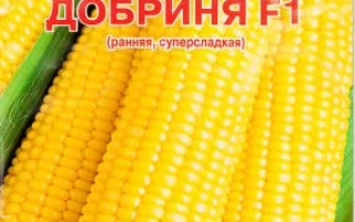 Пакет семян сахарной кукурузы Добрина F1 - Увертюра
