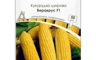 Пакет семян сахарной кукурузы Веракрус F1 - Вероника