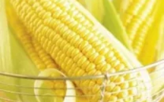 Желтая сахарная кукуруза в металлической корзине - ВОНДЕРЛЭНД