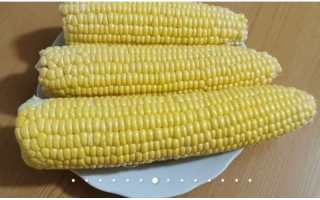 Три початка сахарной кукурузы на белой тарелке - Зеатон