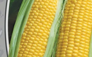 Пакет семян сахарной кукурузы ЗОЛОТОЙ БАТАМ
