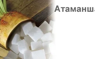 Свекла сорта Атаманша с сахарными кубиками
