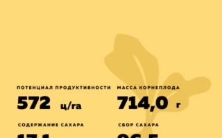 Пакет семян сахарной свеклы БТС 1965 - БТС 2645