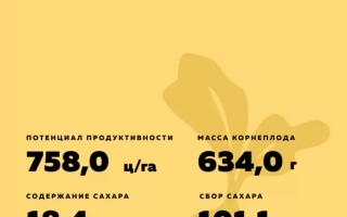 Семена сахарной свеклы БТС 3560 на желтом фоне с техническими характеристиками