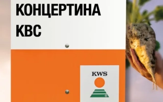 Регистрационная табличка с названием КОНЦЕРТИНА КВС и логотипом KWS